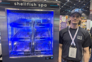 Shellfish Spa